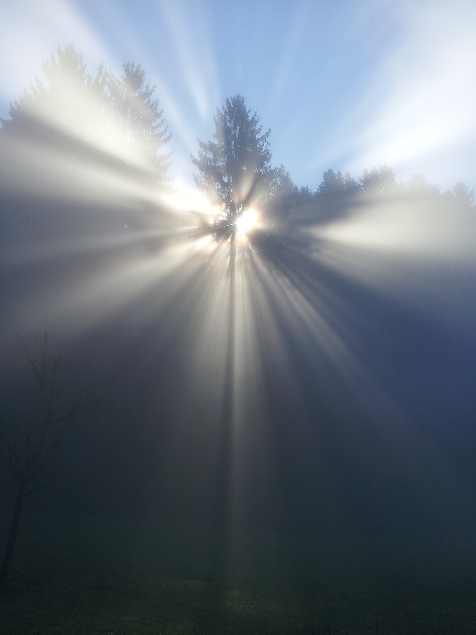 God’s Purpose in Pain
